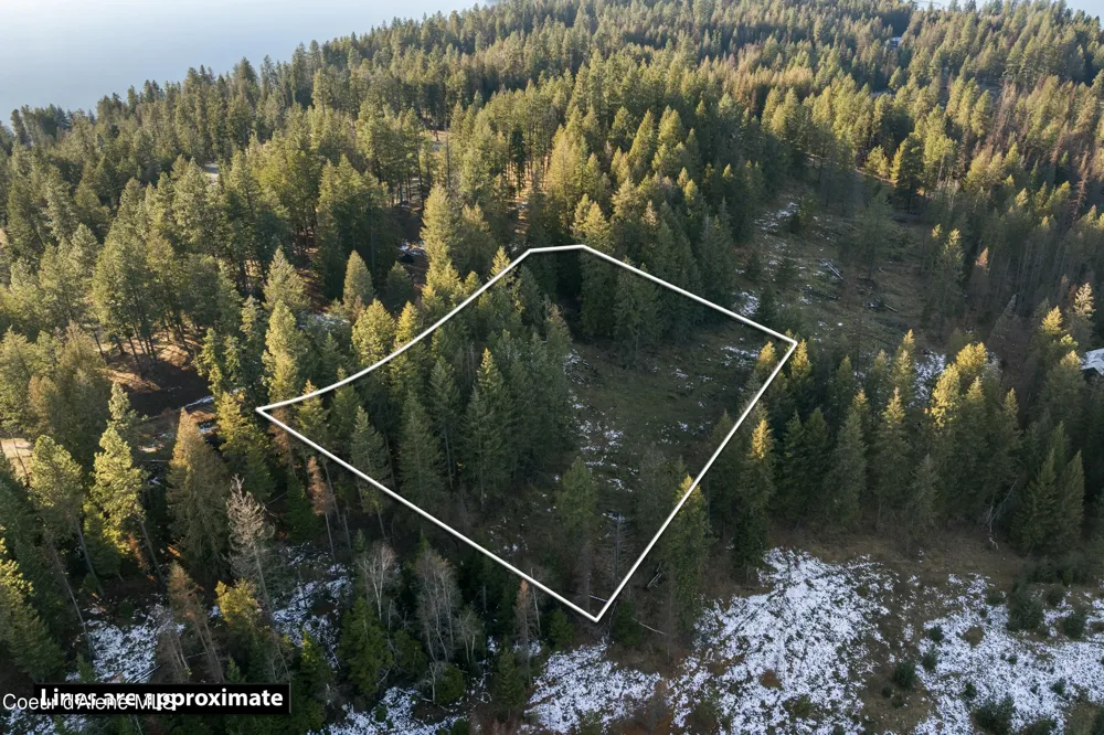 Blk1Lot3 Sasha Point Hope, ID 83836