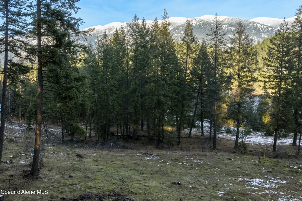 Blk1Lot3 Sasha Point Hope, ID 83836