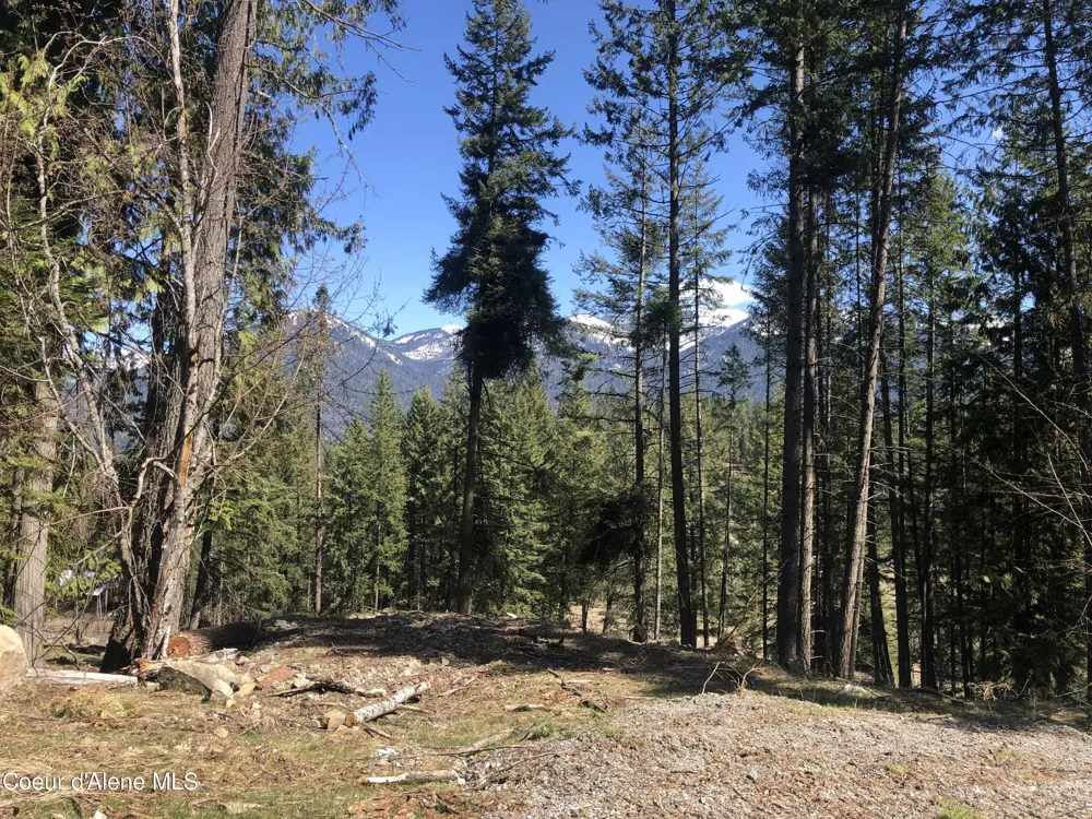 Blk1Lot3 Sasha Point Hope, ID 83836