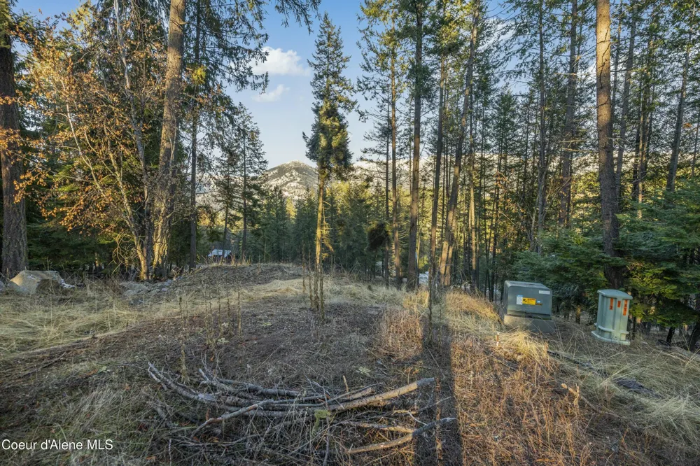 Blk1Lot3 Sasha Point Hope, ID 83836