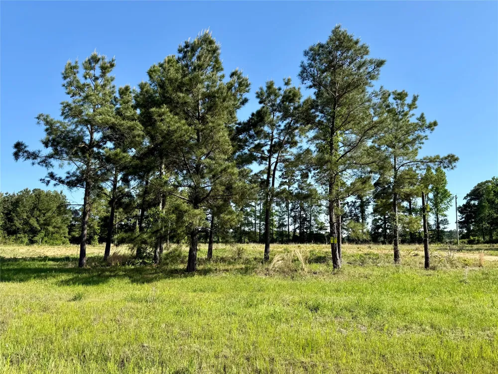 102 Faith Plantation Drive #36 Princeton, LA 71067