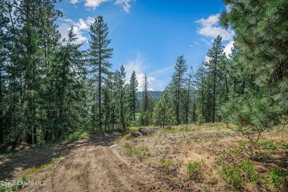 16154 Smith Avenue Hauser, ID 83854