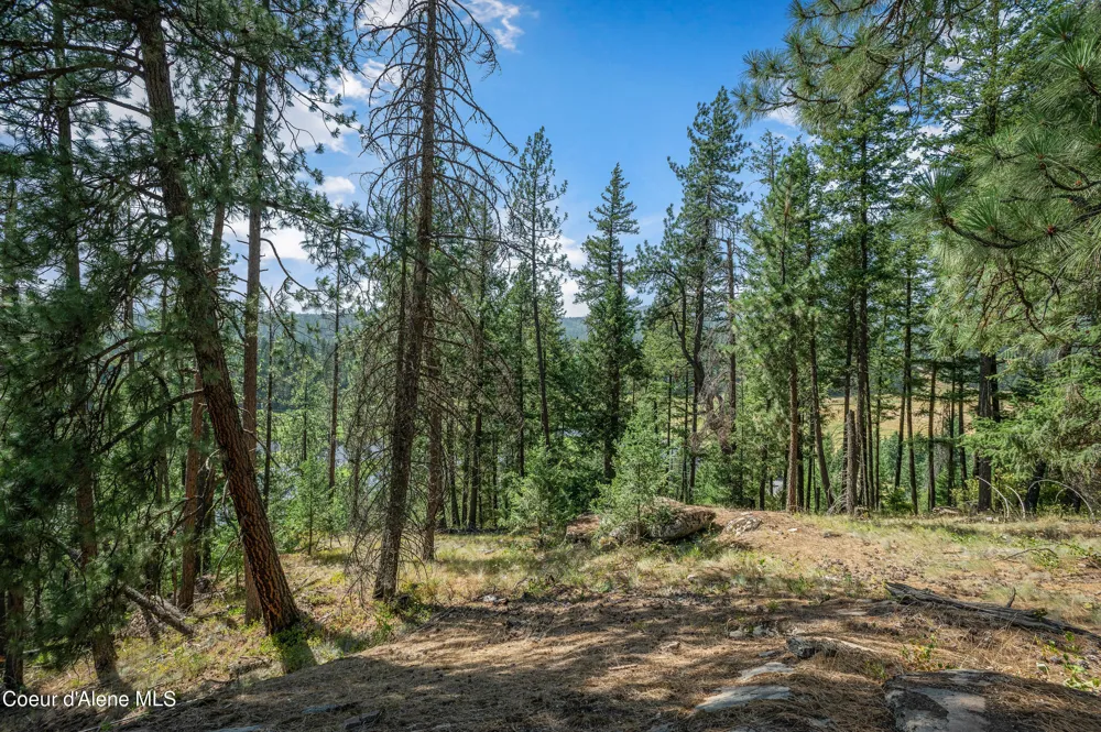 16154 Smith Avenue Hauser, ID 83854