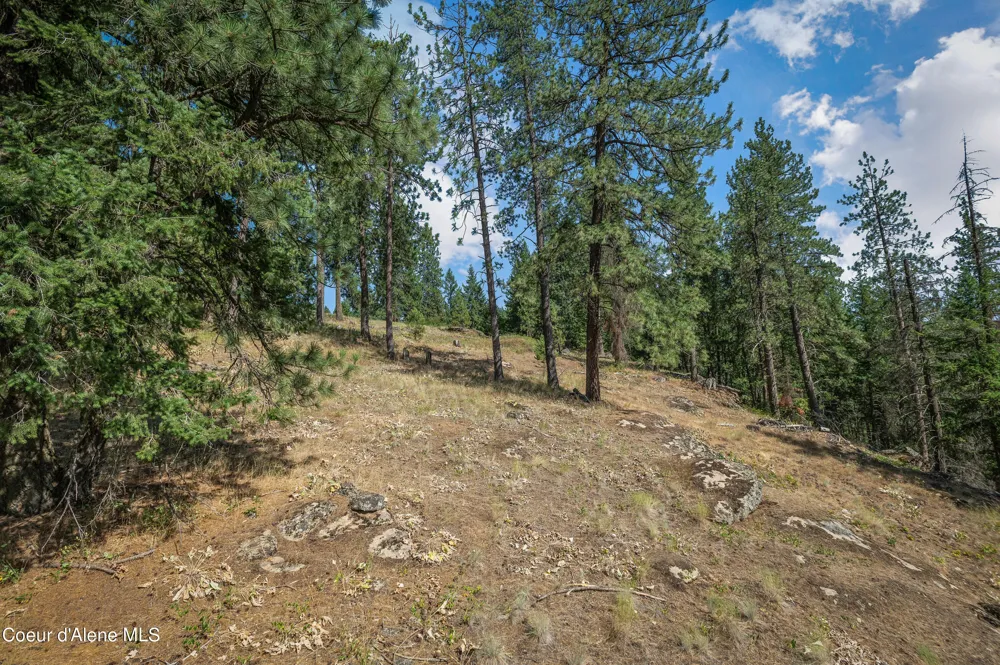 16154 Smith Avenue Hauser, ID 83854