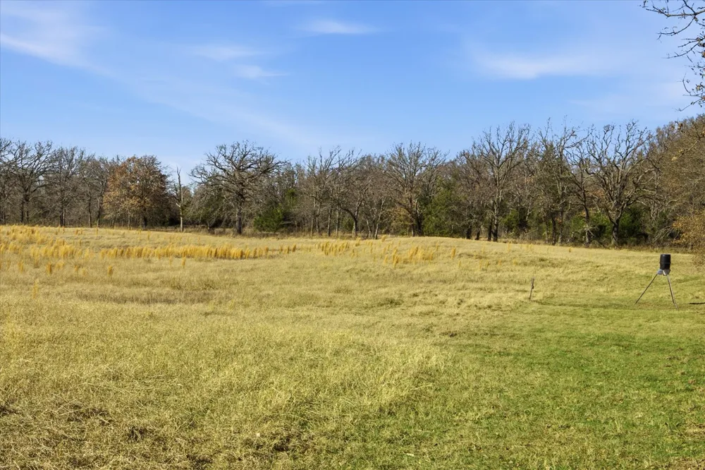 Countty Road 349 Terrell, TX 75161