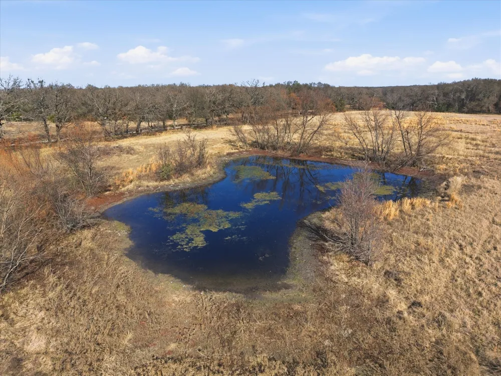 County Road 349 Terrell, TX 75161