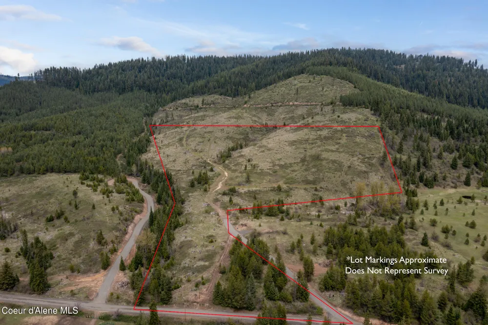 1175 Sheep Creek Parcel E Santa, ID 83866