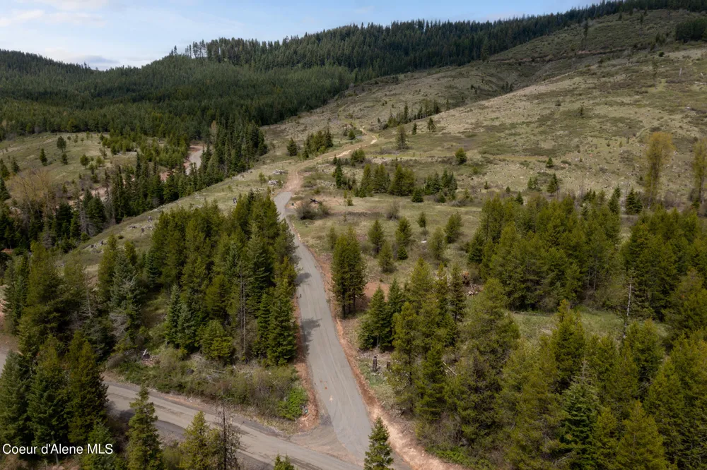 1175 Sheep Creek Parcel E Santa, ID 83866