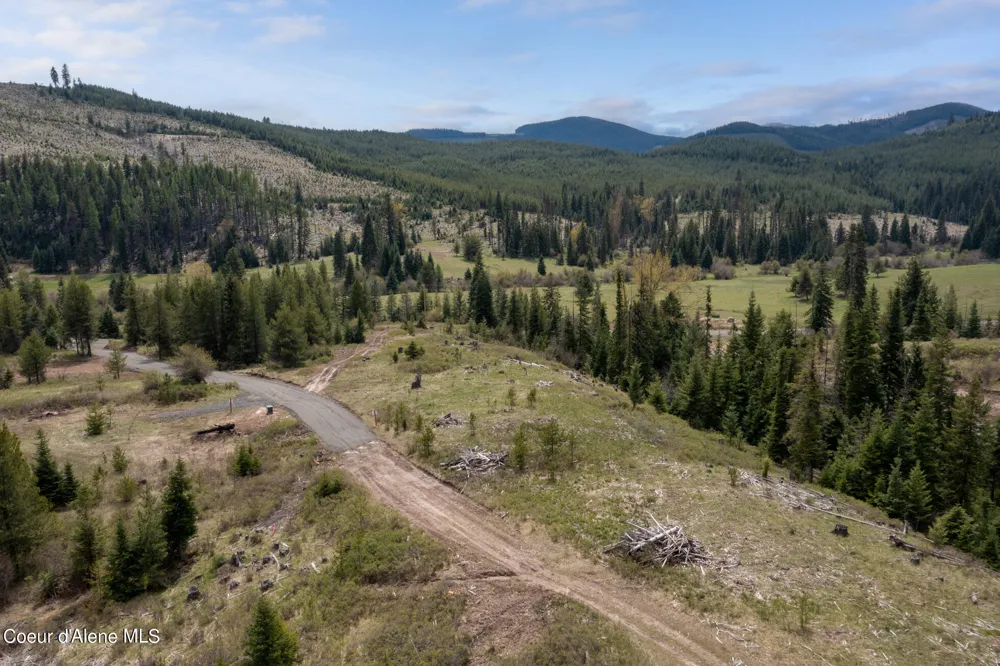 1175 Sheep Creek Parcel E Santa, ID 83866