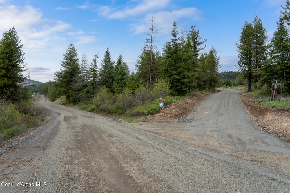 1175 Sheep Creek Parcel E Santa, ID 83866