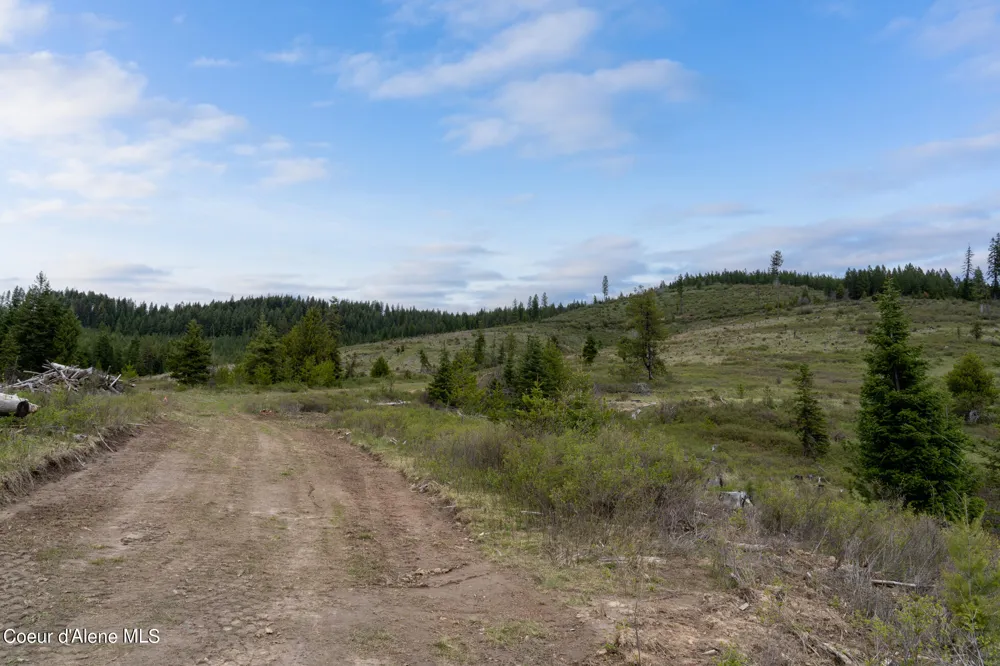 1175 Sheep Creek Parcel E Santa, ID 83866