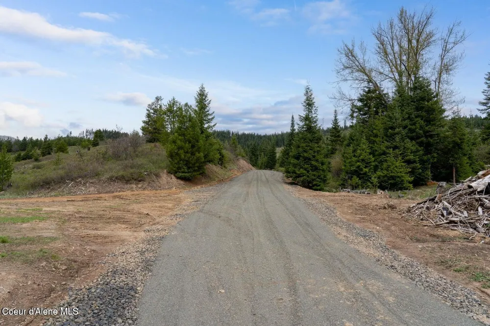 1175 Sheep Creek Parcel E Santa, ID 83866