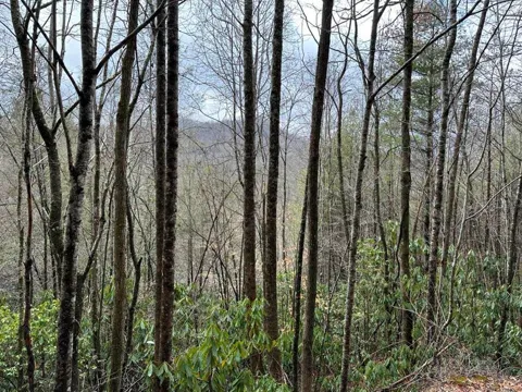 Stillwind Dr