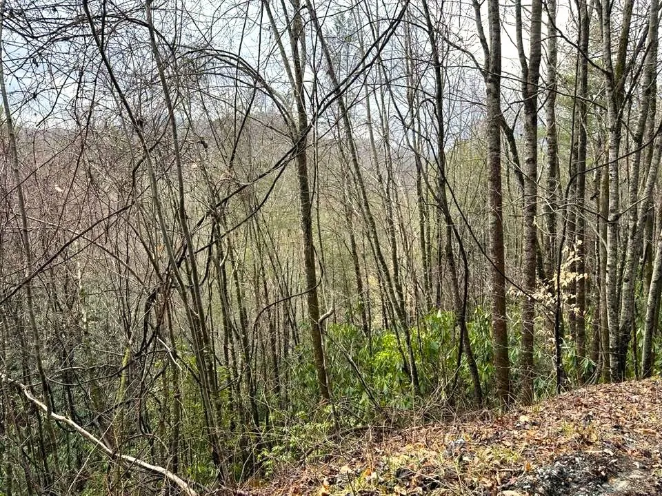 Stillwind Dr Topton, NC 28781