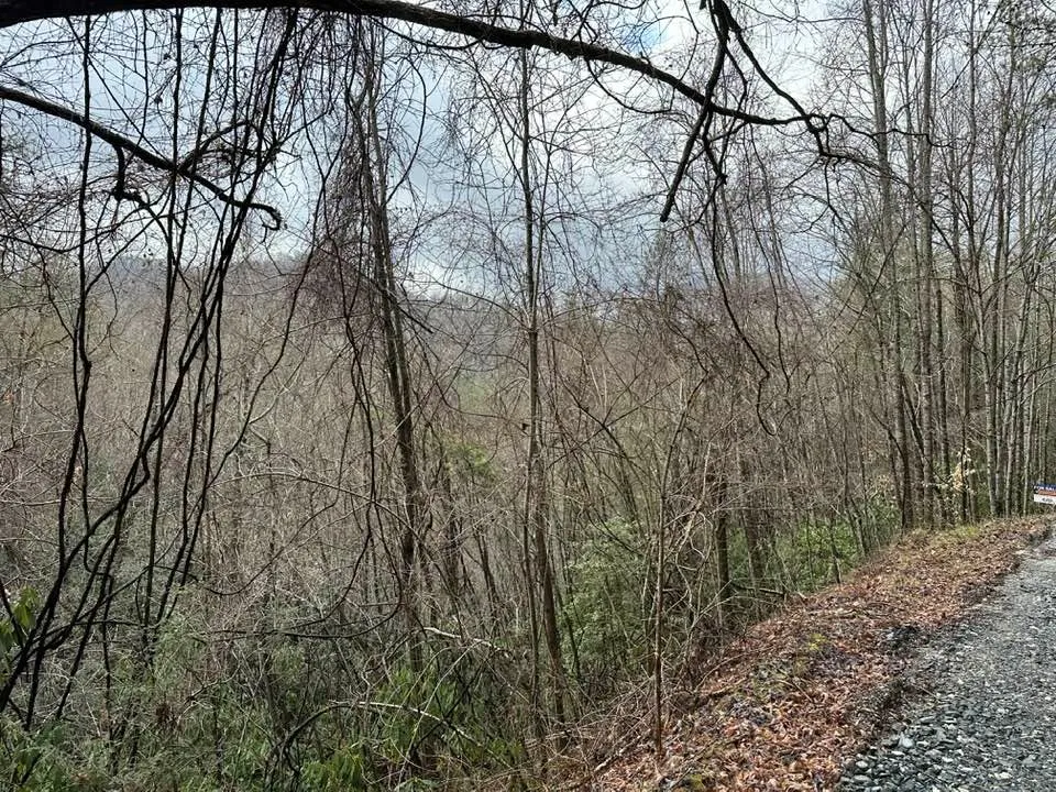 Stillwind Dr Topton, NC 28781