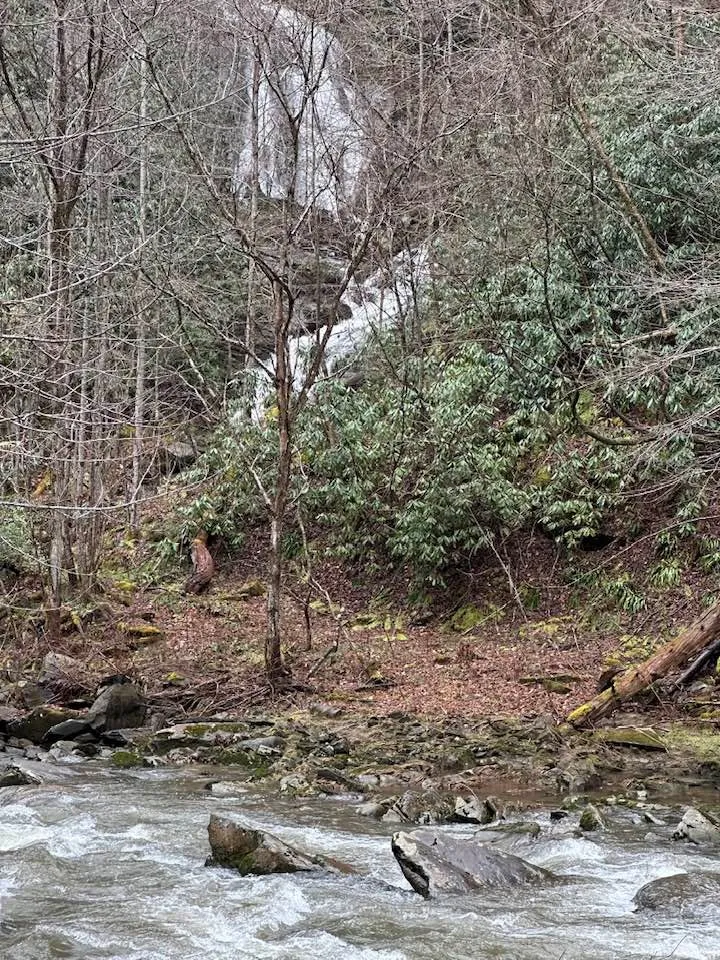 Stillwind Dr Topton, NC 28781
