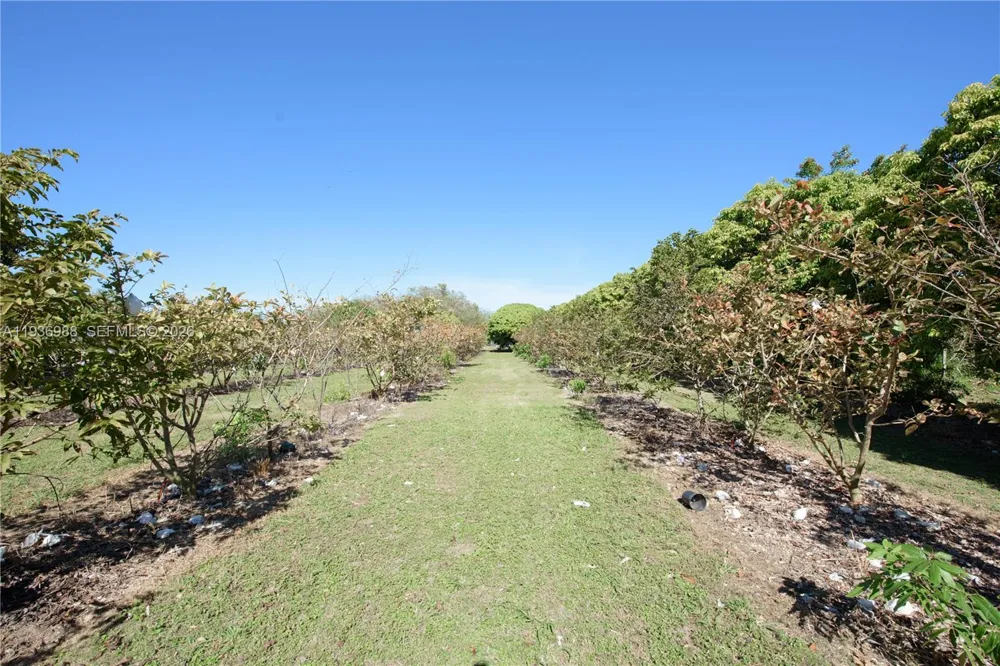 21295 SW 376th St Homestead, FL 33034