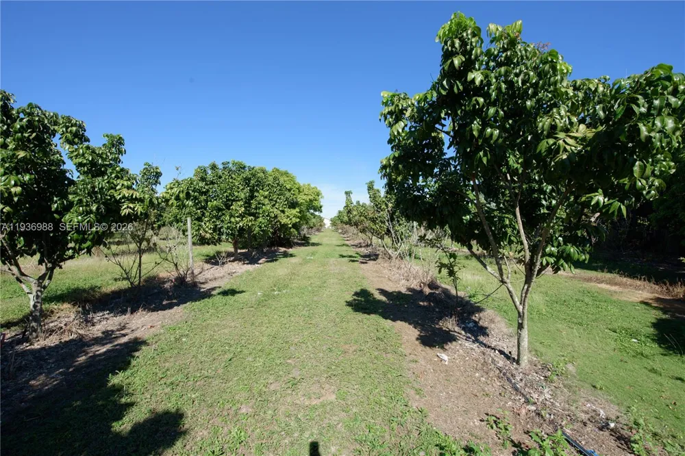 21295 SW 376th St Homestead, FL 33034