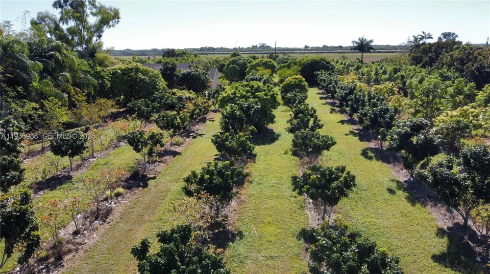 21295 SW 376th St Homestead, FL 33034