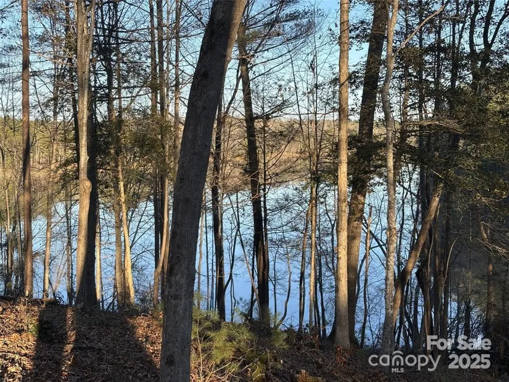 584 E Settings Boulevard NW #267 Valdese, NC 28690