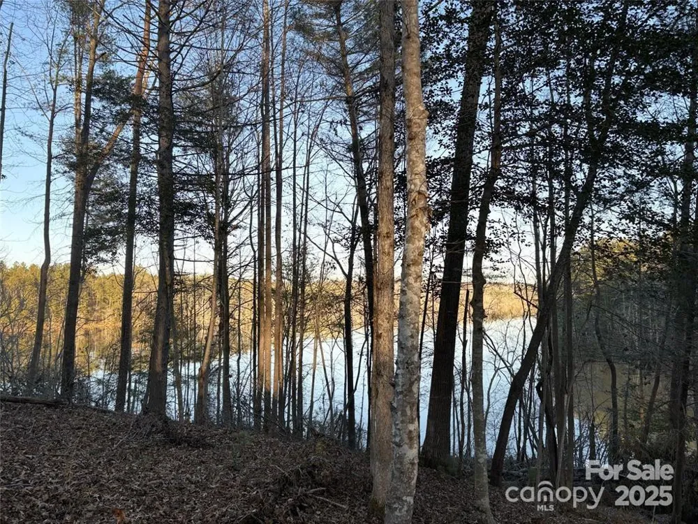 584 E Settings Boulevard NW #267 Valdese, NC 28690