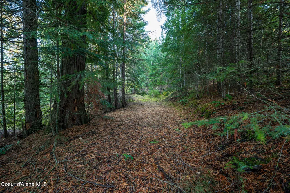 NKA 39-Ac Half Round Bay Road Harrison, ID 83833