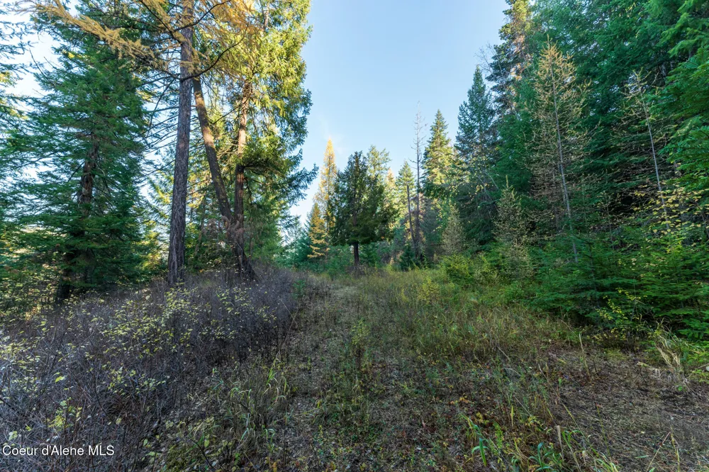 NKA 39-Ac Half Round Bay Road Harrison, ID 83833