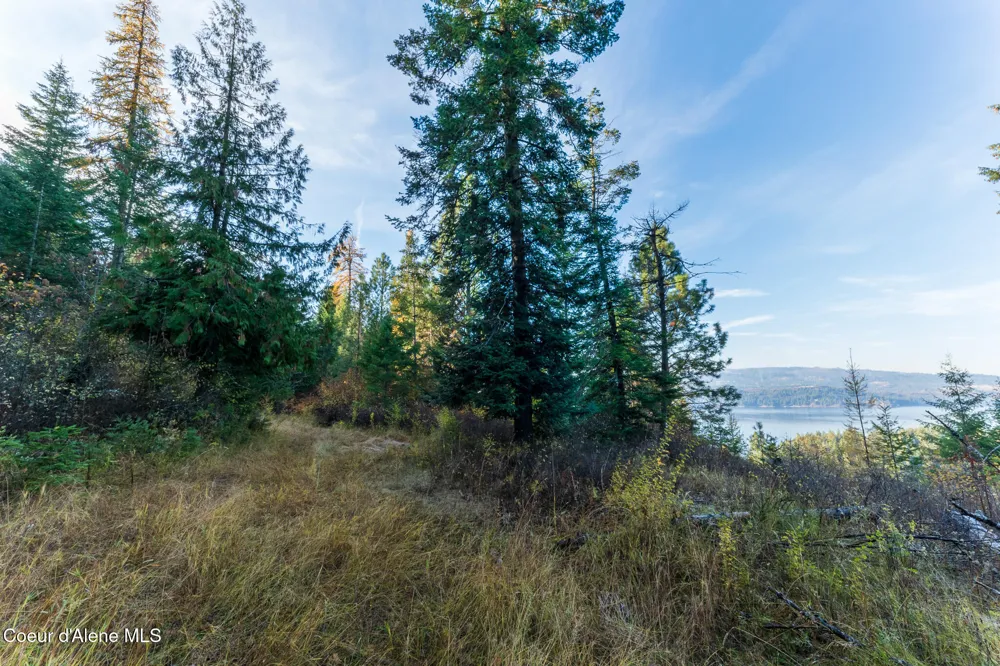 NKA 39-Ac Half Round Bay Road Harrison, ID 83833