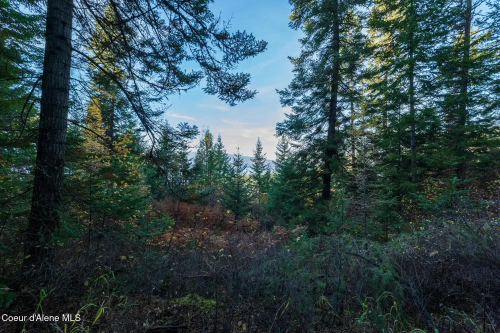 NKA 39-Ac Half Round Bay Road Harrison, ID 83833