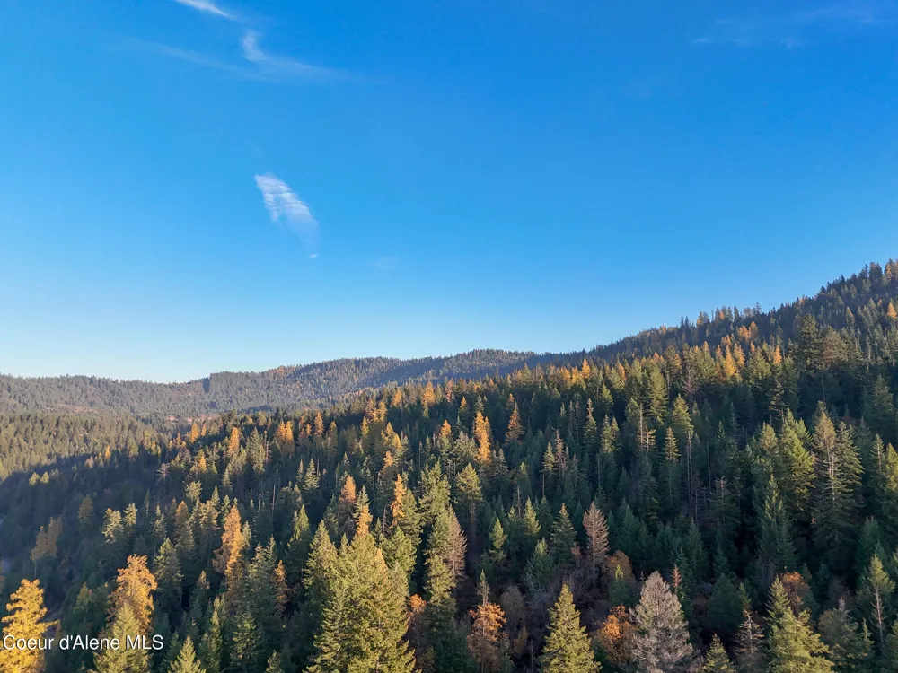 NKA 39-Ac Half Round Bay Road Harrison, ID 83833
