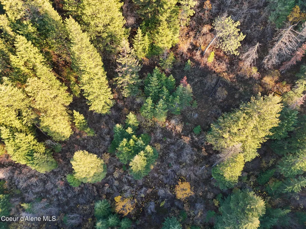 NKA 39-Ac Half Round Bay Road Harrison, ID 83833