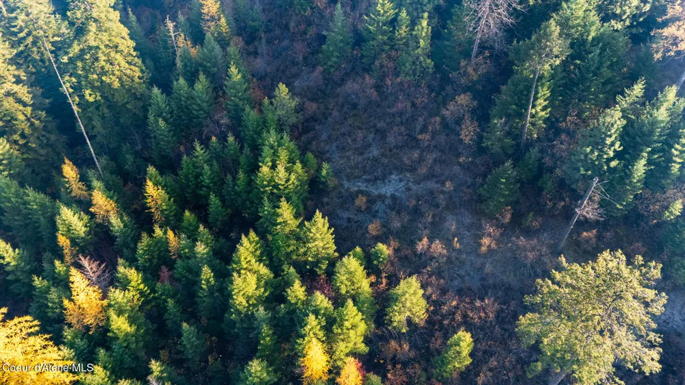 NKA 39-Ac Half Round Bay Road Harrison, ID 83833