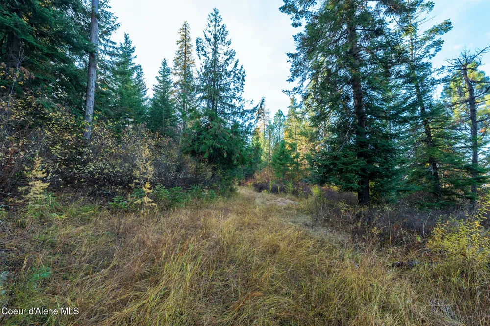 NKA 39-Ac Half Round Bay Road Harrison, ID 83833