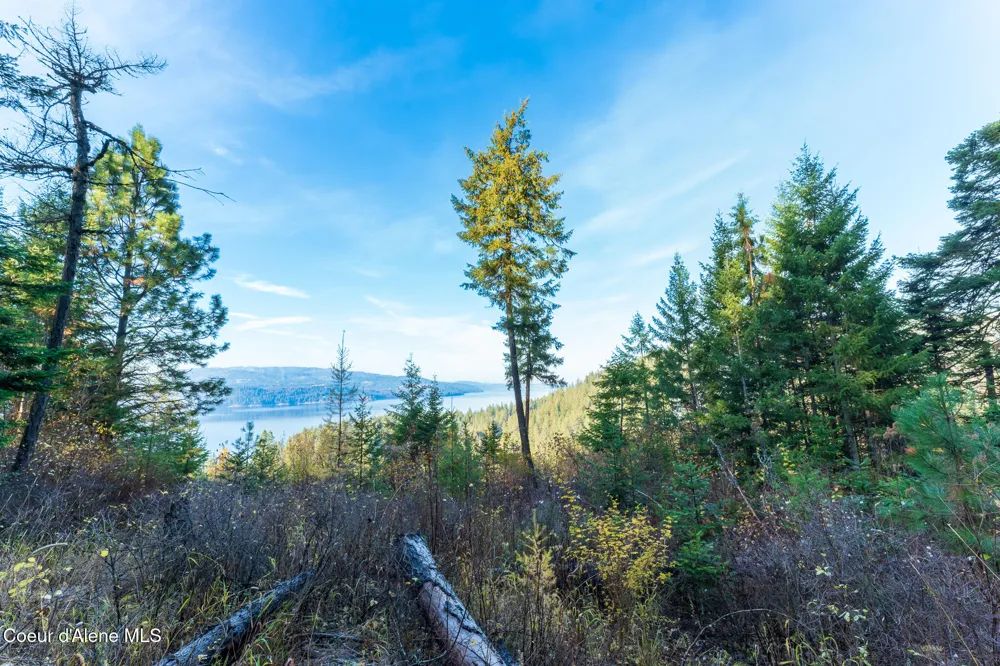 NKA 39-Ac Half Round Bay Road Harrison, ID 83833