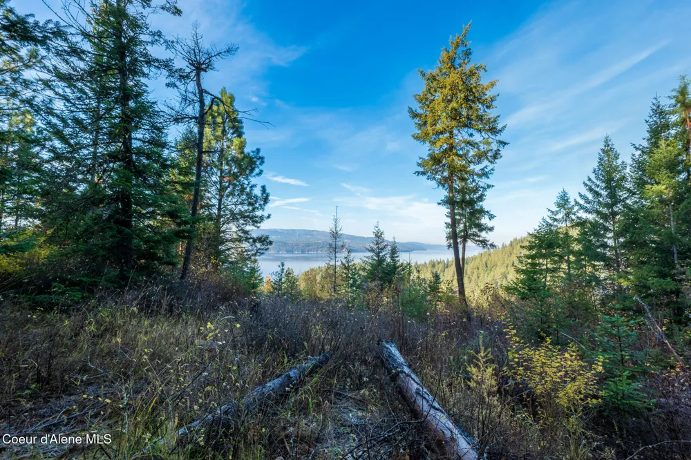 NKA 39-Ac Half Round Bay Road Harrison, ID 83833