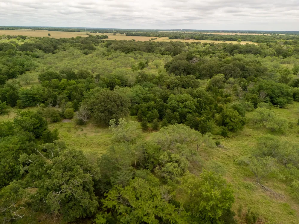 County Road 178 Riesel, TX 76682
