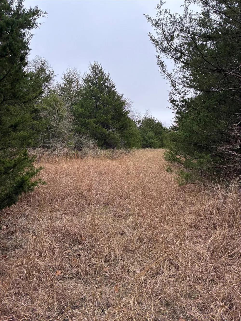 23 County Road 2950 Windom, TX 75306