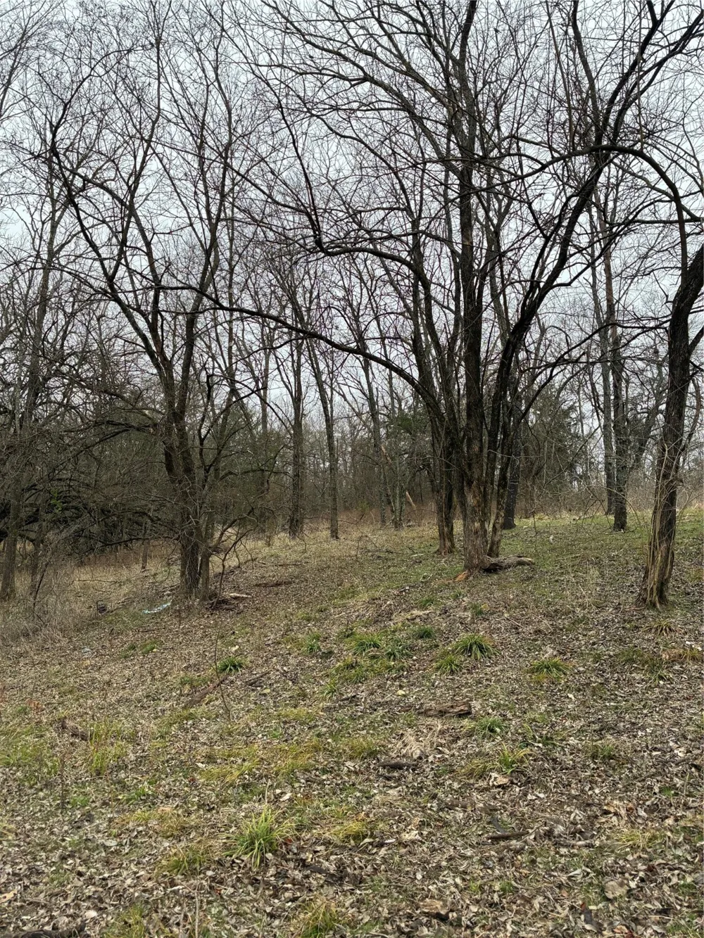 23 County Road 2950 Windom, TX 75306