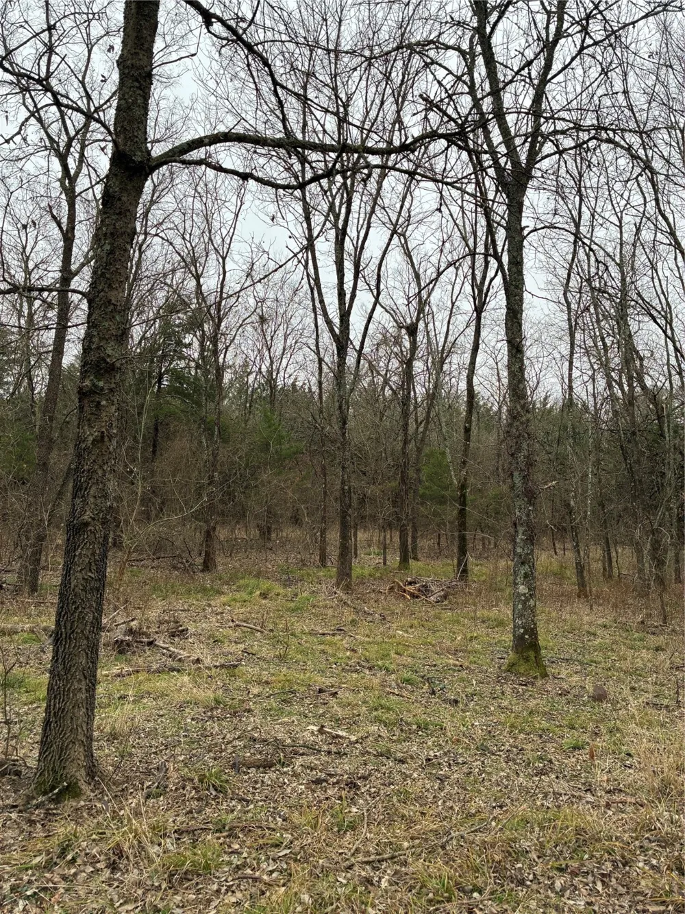 23 County Road 2950 Windom, TX 75306