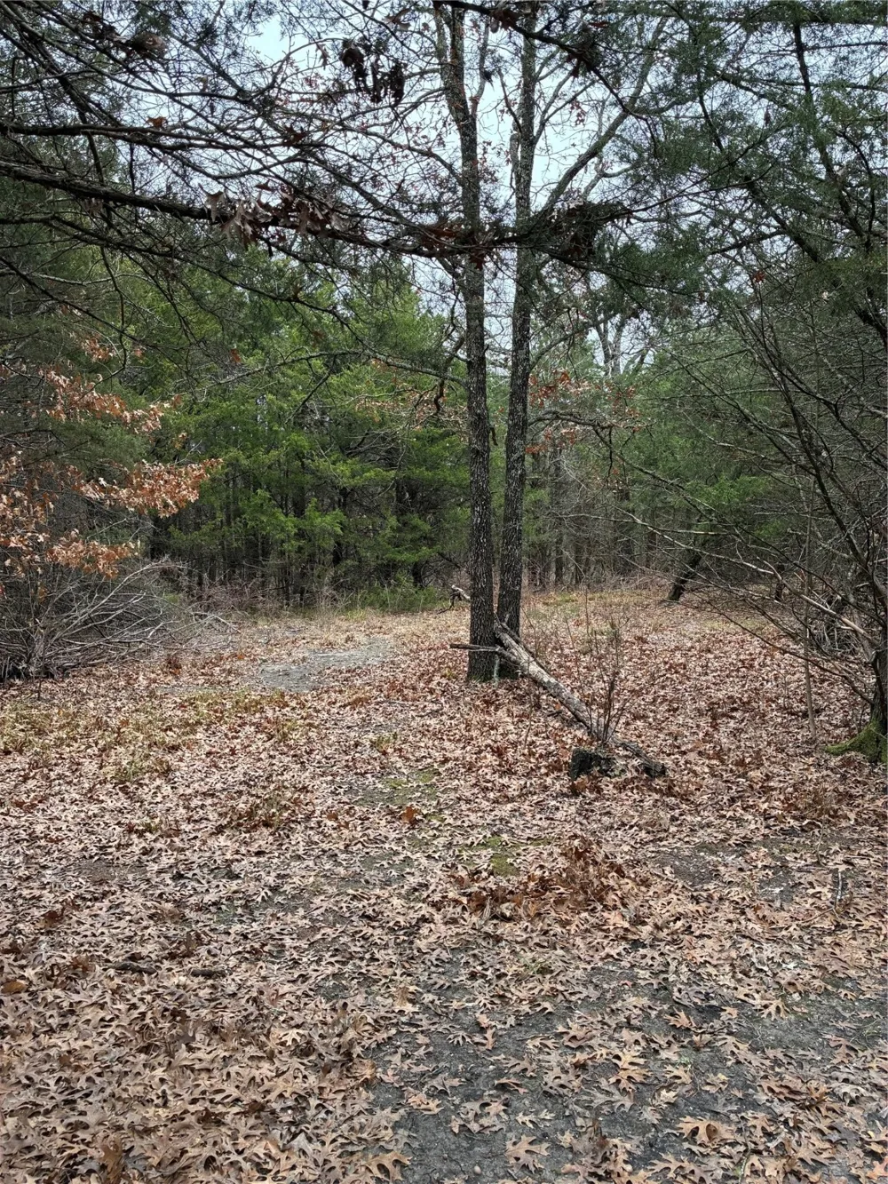 23 County Road 2950 Windom, TX 75306