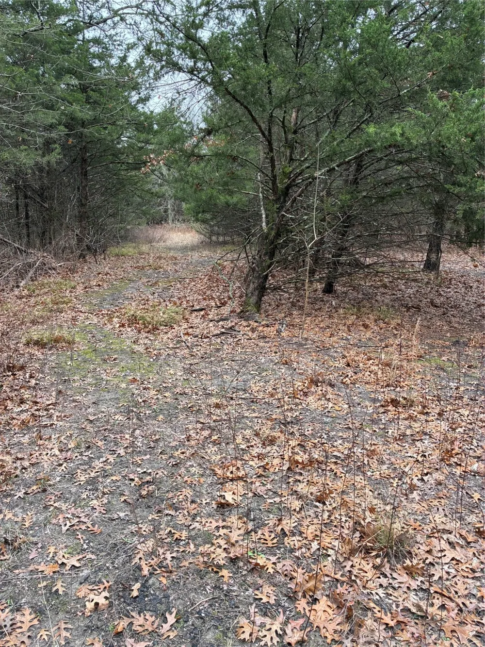 23 County Road 2950 Windom, TX 75306