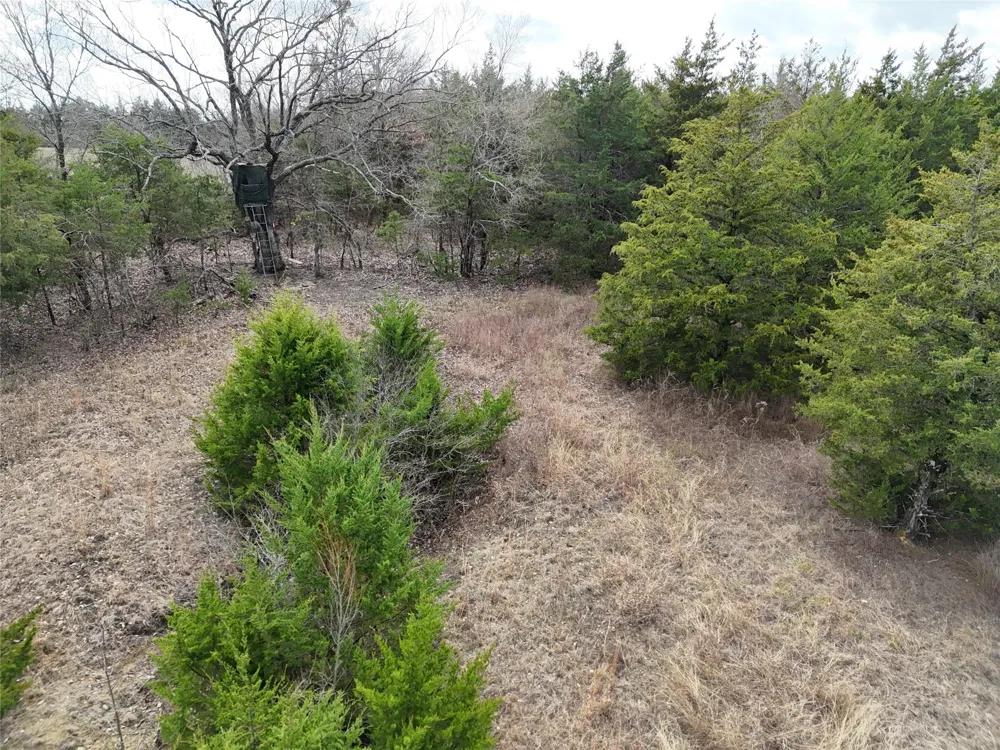 23 County Road 2950 Windom, TX 75306