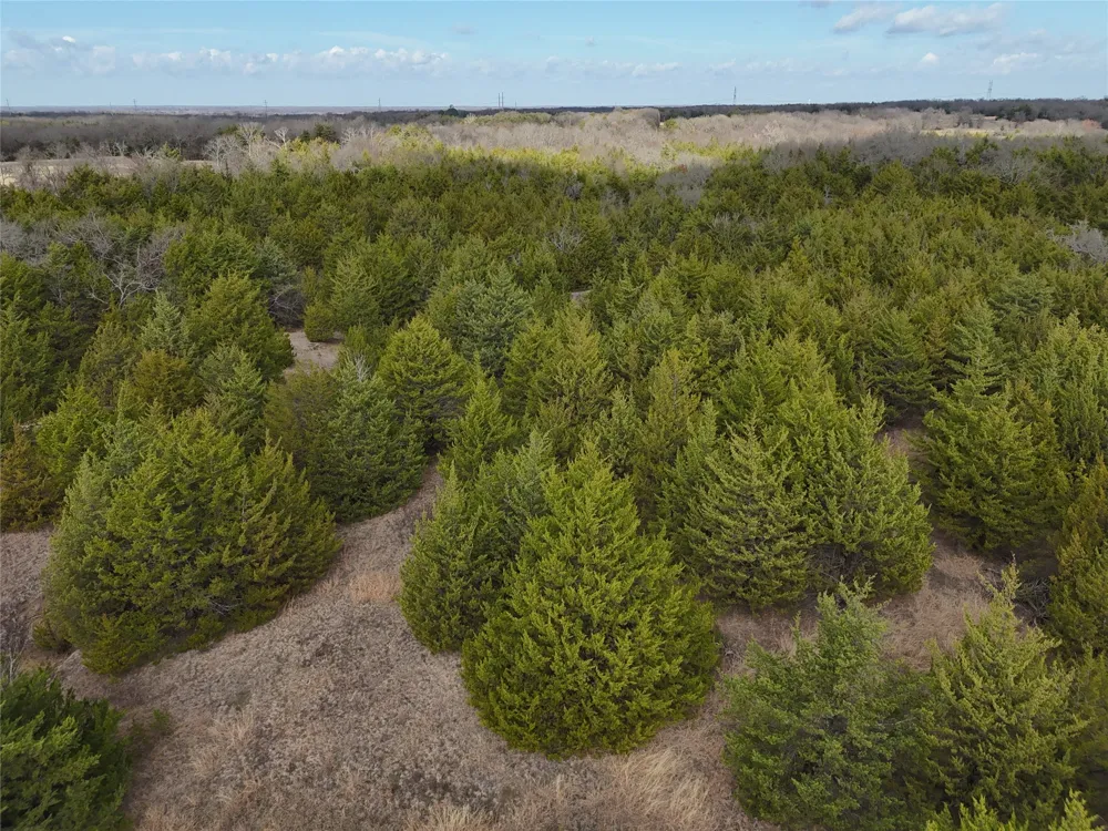 23 County Road 2950 Windom, TX 75306