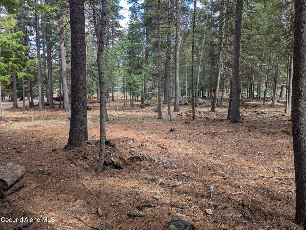 NNA W Florida Lot 3 Circle Worley, ID 83876