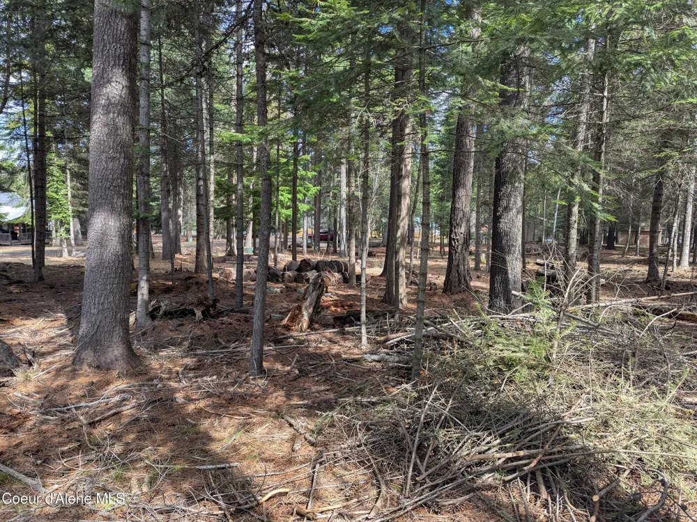 NNA W Florida Lot 3 Circle Worley, ID 83876