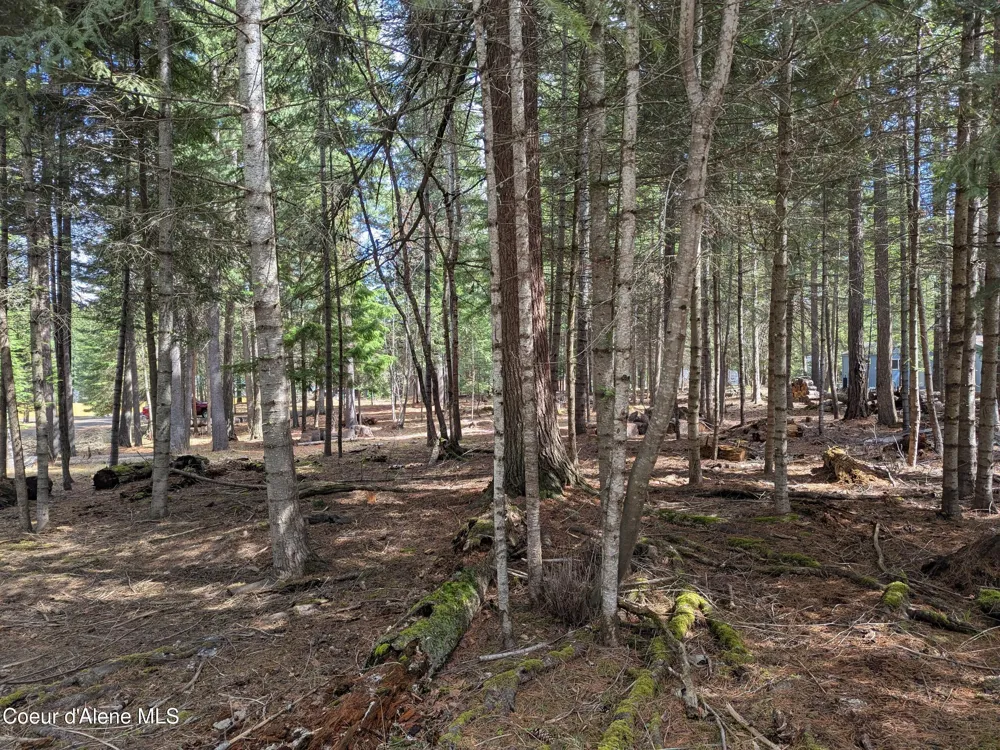NNA W Florida Lot 3 Circle Worley, ID 83876