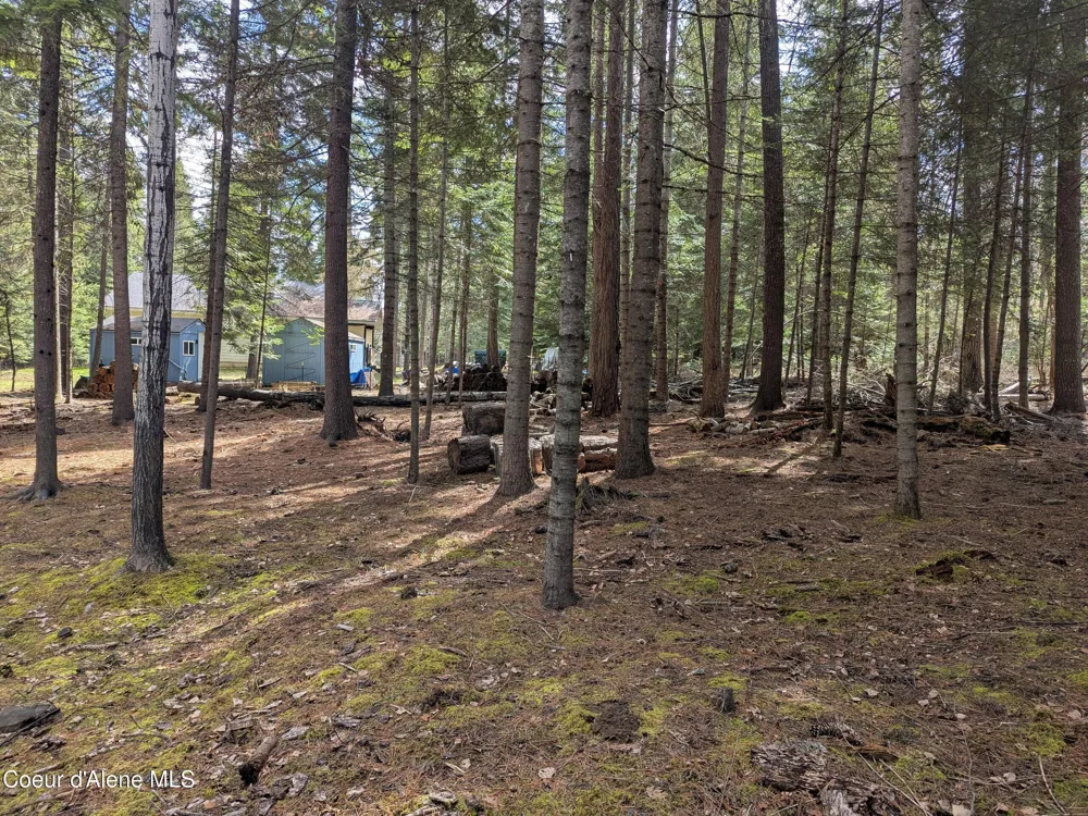NNA W Florida Lot 3 Circle Worley, ID 83876