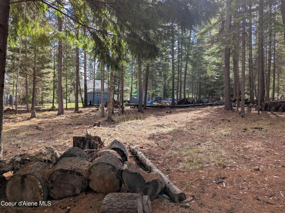 NNA W Florida Lot 3 Circle Worley, ID 83876