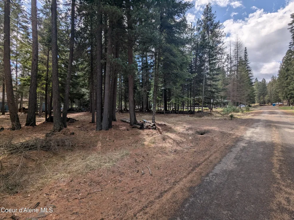 NNA W Florida Lot 3 Circle Worley, ID 83876