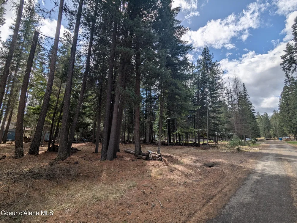 NNA W Florida Lot 3 Circle Worley, ID 83876